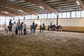 Bild 236 - Pony Akademie Turnier